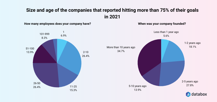 size and age of the companies that reported hitting more than &5% of their goals